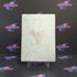 Destiny Collector's Edition Steelbook Xbox 360 Complete - Excellent