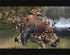Final Fantasy Crystal Chronicles Nintendo Gamecube Disc Only - Very Good
