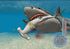 Jaws Unleashed PS2 PlayStation 2 AD Complete CIB - Very Good