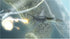 Tom Clancy's Hawx PS3 PlayStation 3 AD/NM - Very Good