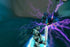 Bionicle PS2 PlayStation 2 - Like New