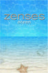 Zenses Ocean Edition Nintendo DS - Like New
