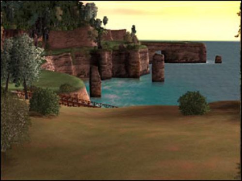 Tiger Woods PGA Tour 2004 PlayStation 2 AD Complete CIB - Very Good