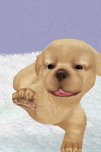 Petz Nursery Nintendo DS - Like New