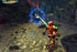 Bionicle PS2 PlayStation 2 - Like New