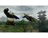 Kung Fu Panda PS2 PlayStation 2 - Like New