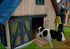 Harvest Moon Tree of Tranquility Nintendo Wii Complete - Excellent