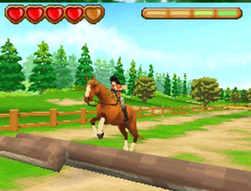Ener-G Horse Riders Nintendo DS - Very Good