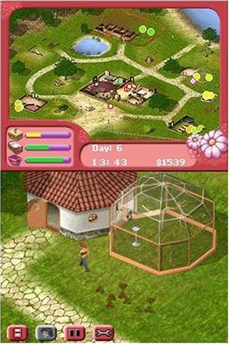 Paws & Claws Pet Vet Healing Hands Nintendo DS - Acceptable