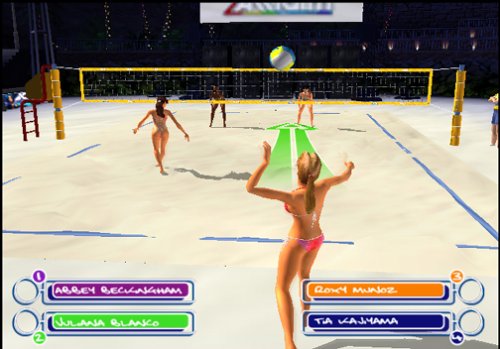 Summer Heat Beach Volleyball + Reg Card PlayStation 2 AD - Very Good