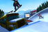 Shaun White Snowboarding World Stage Nintendo Wii - Like New