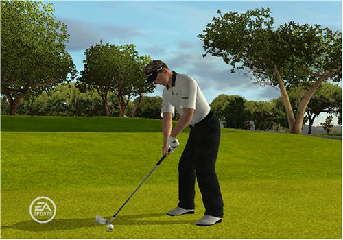 Tiger Woods PGA Tour 09 All-Play Nintendo Wii - Like New