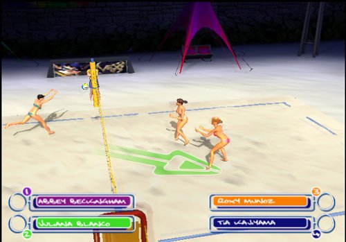 Summer Heat Beach Volleyball + Reg Card PlayStation 2 AD - Very Good