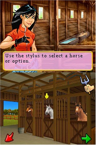 Ener-G Horse Riders Nintendo DS - Very Good