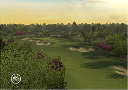 Tiger Woods PGA Tour 09 All-Play Nintendo Wii - Like New