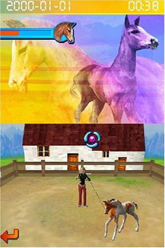 Horsez - Nintendo DS - Like New