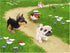 Petz Dogz 2 Nintendo Wii Complete - Excellent