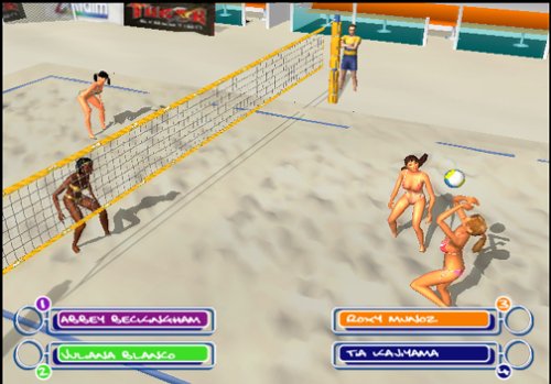 Summer Heat Beach Volleyball + Reg Card PlayStation 2 AD - Very Good