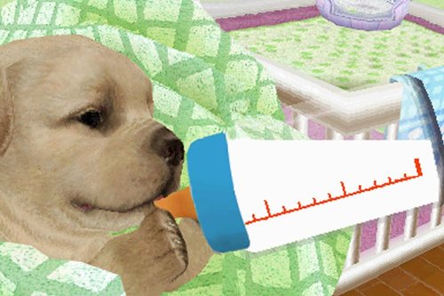 Petz Nursery Nintendo DS - Like New