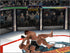 Ultimate Fighting Championship PS1 PlayStation 1 Loose Disc - Acceptable