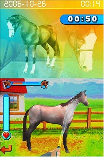 Horsez - Nintendo DS - Like New