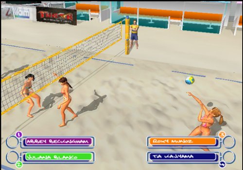 Summer Heat Beach Volleyball + Reg Card PlayStation 2 AD - Very Good