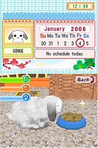 Petz Bunnyz Nintendo DS - Like New