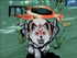 Okami PS2 PlayStation 2 - Like New