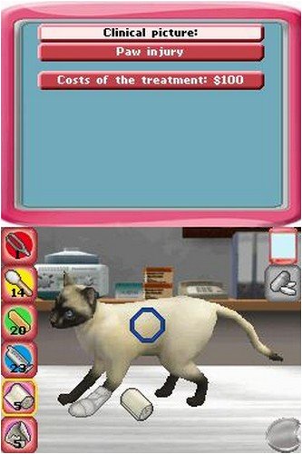 Paws & Claws Pet Vet Healing Hands Nintendo DS - Acceptable