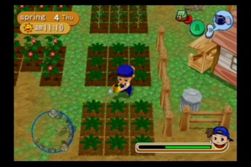 Harvest Moon Magical Melody Nintendo Gamecube + Reg Card - Like New