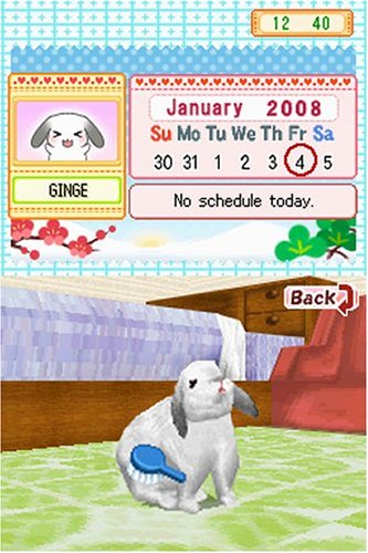 Petz Bunnyz Nintendo DS - Like New
