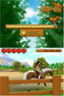 Ener-G Horse Riders Nintendo DS - Very Good