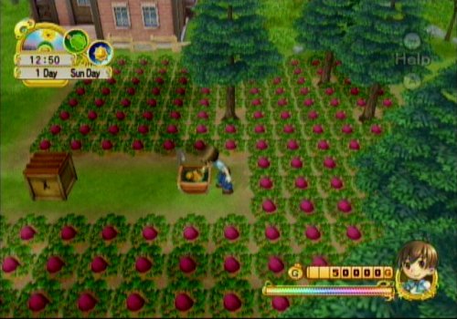 Harvest Moon Tree of Tranquility Nintendo Wii Complete - Excellent