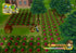 Harvest Moon Tree of Tranquility Nintendo Wii Complete - Excellent