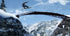 Shaun White Snowboarding Nintendo DS - Like New