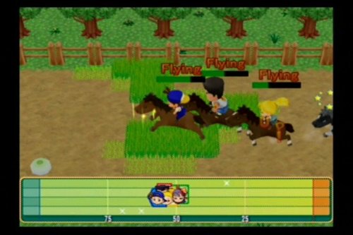 Harvest Moon Magical Melody Nintendo Gamecube + Reg Card - Like New