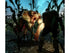 Left 4 Dead Xbox 360 - Very Good