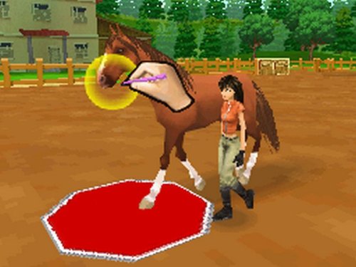 Ener-G Horse Riders Nintendo DS - Very Good