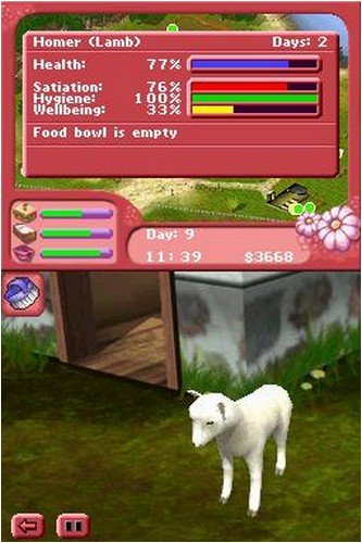 Paws & Claws Pet Vet Healing Hands Nintendo DS - Acceptable