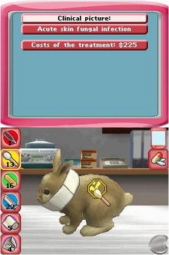 Paws & Claws Pet Vet Healing Hands Nintendo DS - Acceptable