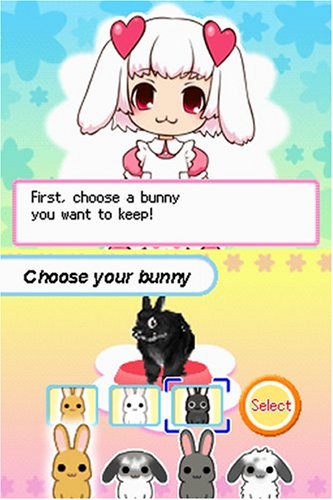 Petz Bunnyz Nintendo DS - Like New