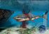 Jaws Unleashed PS2 PlayStation 2 GH Complete - Excellent