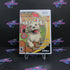 Puppy Luv Nintendo Wii Complete - 1 Year Warranty EX Cond