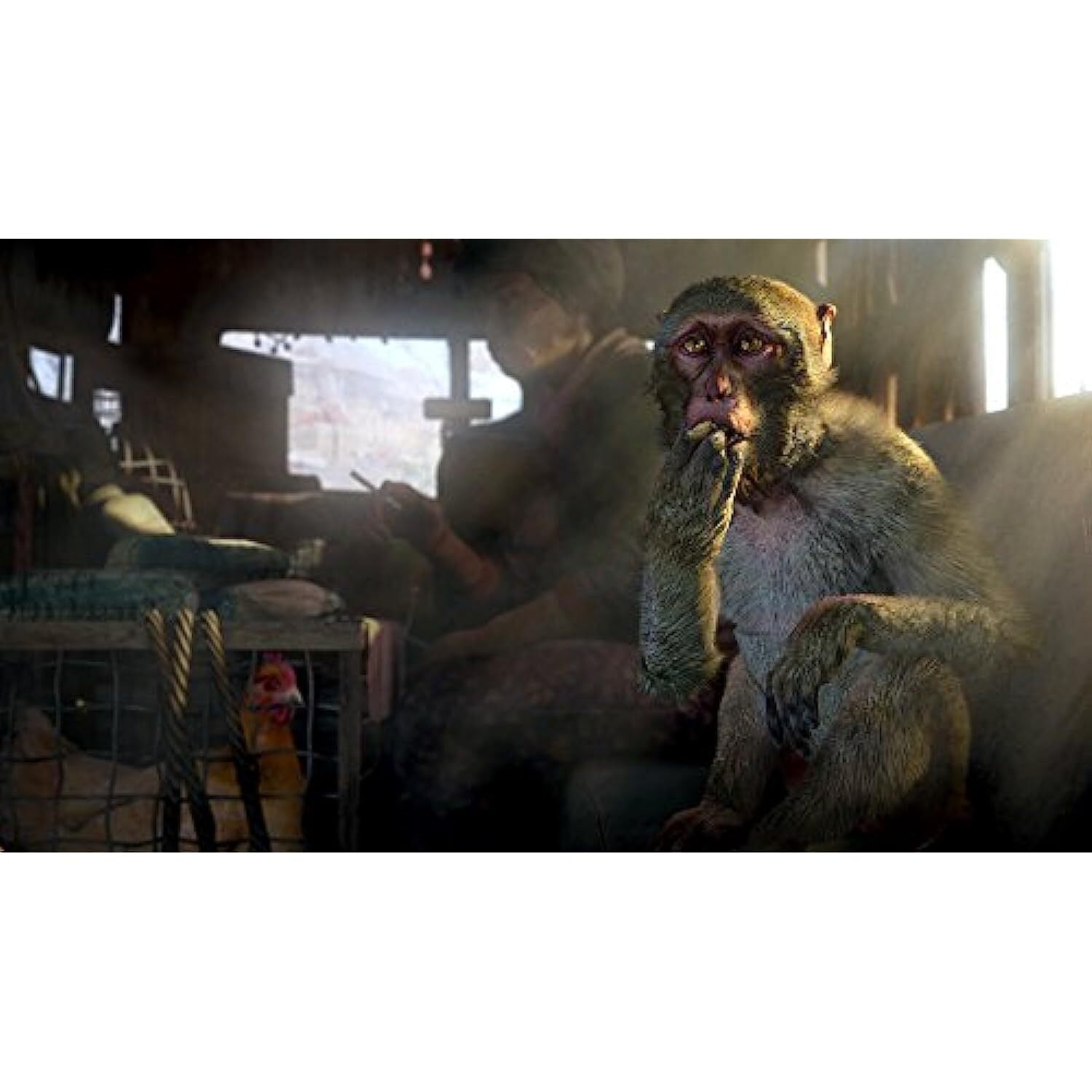 Far Cry 4 Limited Edition Xbox One - 1 Year Warranty VG