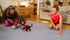EyePet PS3 PlayStation 3 Complete - Excellent