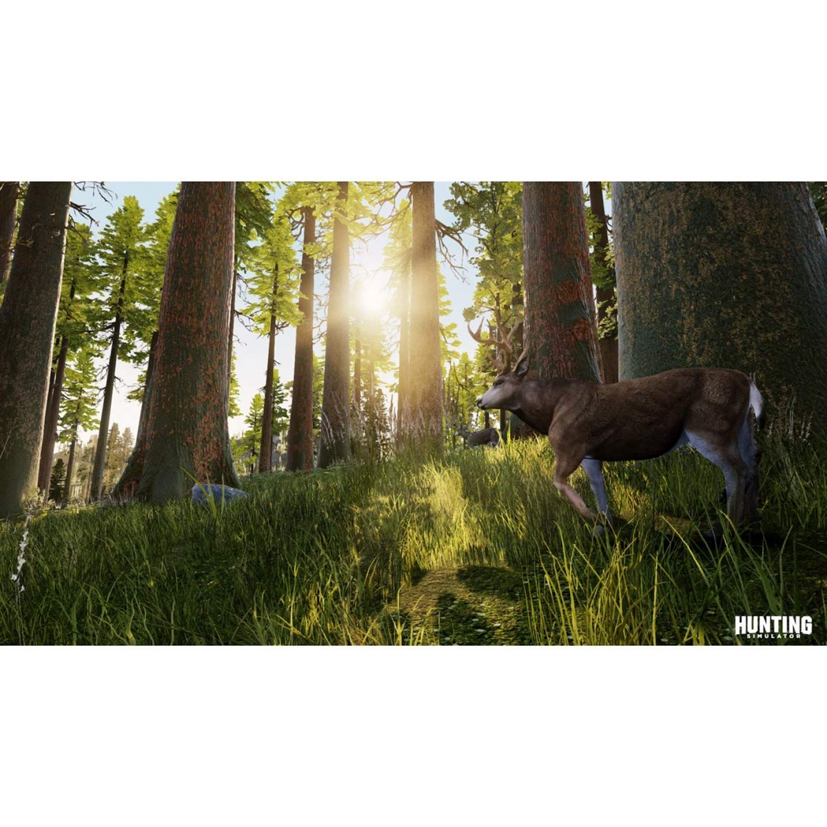 Hunting Simulator PS4 PlayStation 4 Complete - Excellent