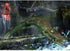 Teenage Mutant Ninja Turtles Smash-Up PS2 PlayStation 2 + Comic Book - Excellent