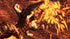 Asura's Wrath PS3 PlayStation 3 Complete - Excellent