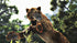 Cabela's Dangerous Hunts 2013 PS3 PlayStation 3 - Like New