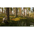 Hunting Simulator PS4 PlayStation 4 Complete - Excellent